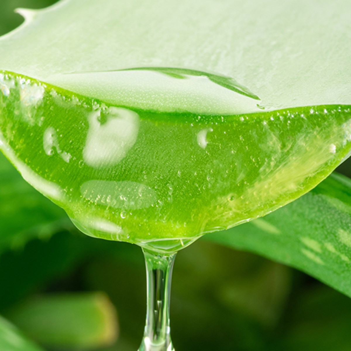 lacura aloe vera gel ALODERMA Pure Aloe Vera Gel - 114g main image 0