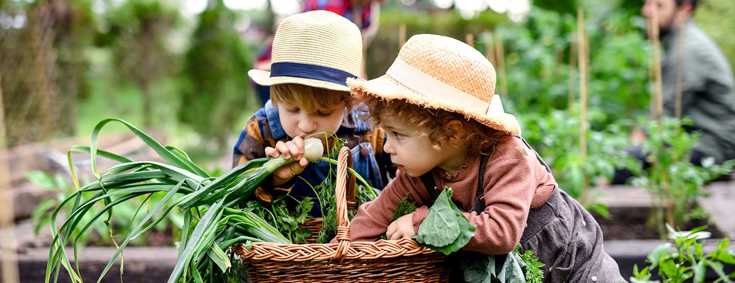 Chuť na zelenú: Sedem nápadov, ako záhradkárčiť s deťmi