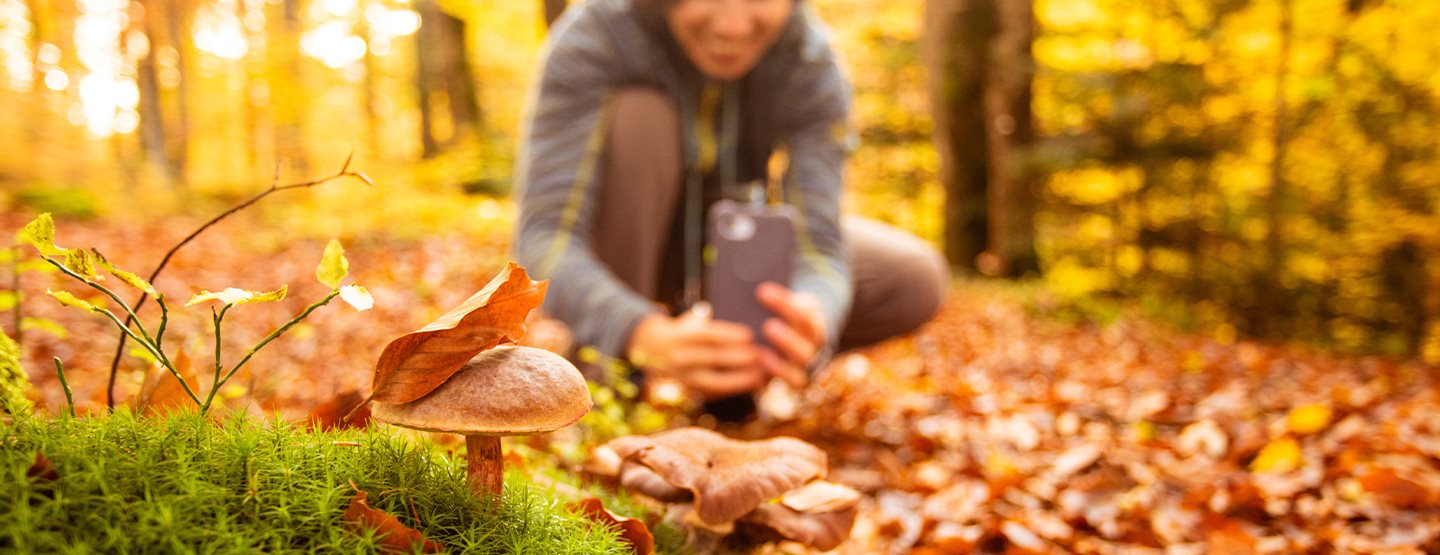 Citizen Science: 7 fascinujúcich projektov, do ktorých sa môžete zapojiť 