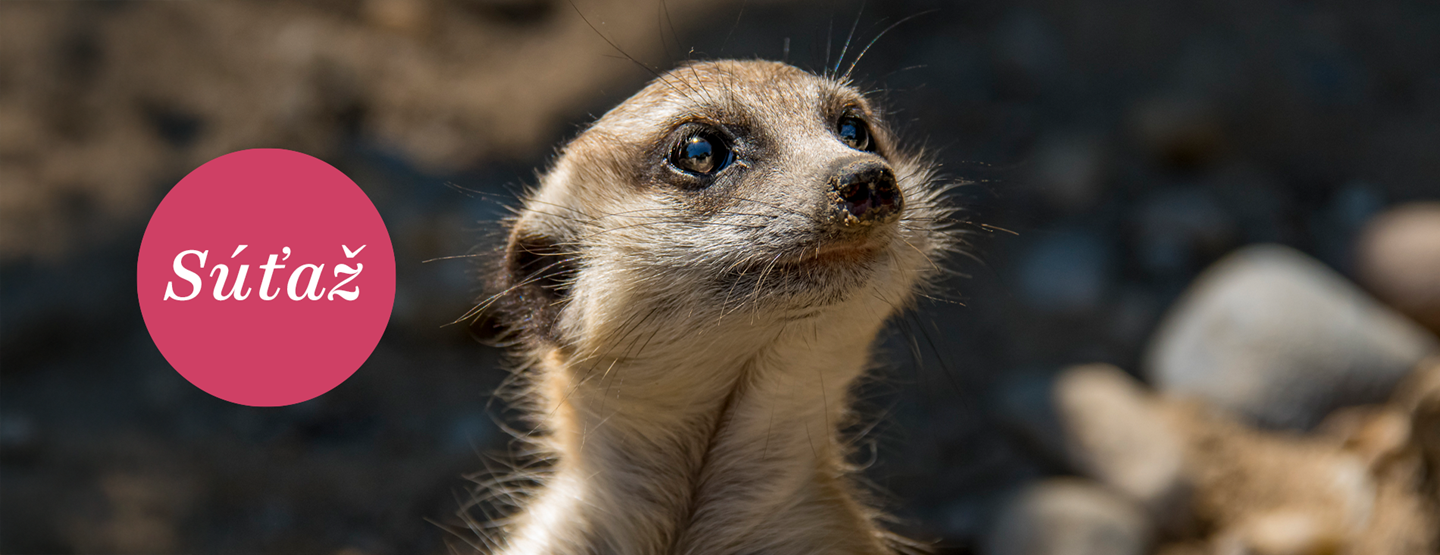 ZOO Bratislava je opäť plná noviniek pre svojich zvieracích obyvateľov i návštevníkov