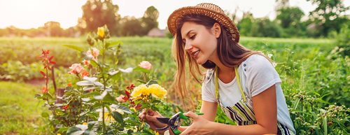 Záhradka bez plastov: 5 trikov pre váš zelený raj