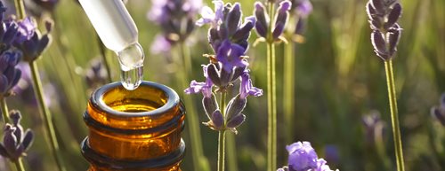 Arómoterapia: 6 najlepších silíc na domáce použitie
