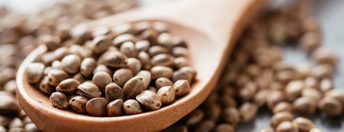 Konopné semienka: 5 dôvodov, prečo ich jesť