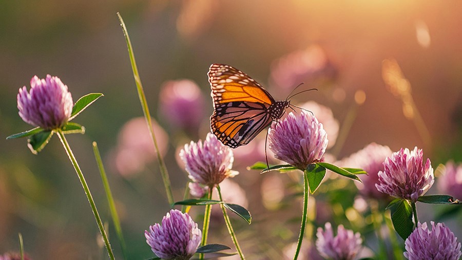 active beauty – Online Magazín pre krásu a zdravie