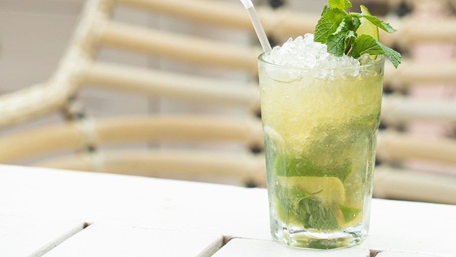 nealko Virgin Mojito 