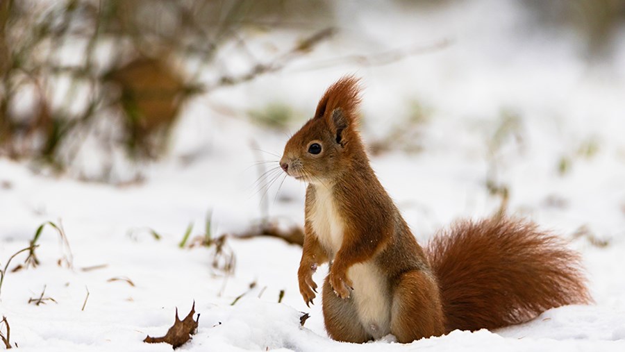 active beauty – Online Magazín pre krásu a zdravie