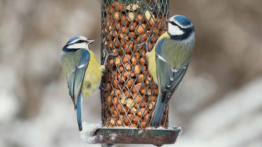 active beauty – Online Magazín pre krásu a zdravie